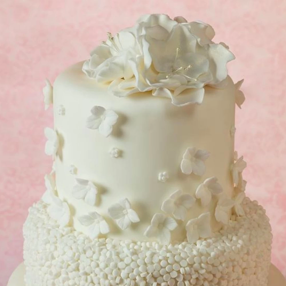 Bako Select White Sugarpaste 2 Bako Select White Sugarpaste - Image 2