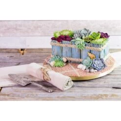 Karen Davies Succulent Mould -Selected Baking Supplies Store karen davies succulent mould p8485 30961 image