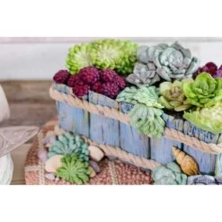Karen Davies Succulent Mould -Selected Baking Supplies Store karen davies succulent mould p8485 30962 image
